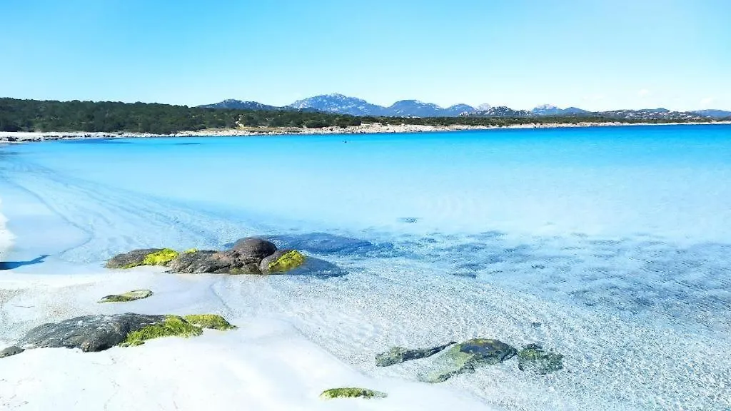 Appartamento Golfo Marinella Olbia